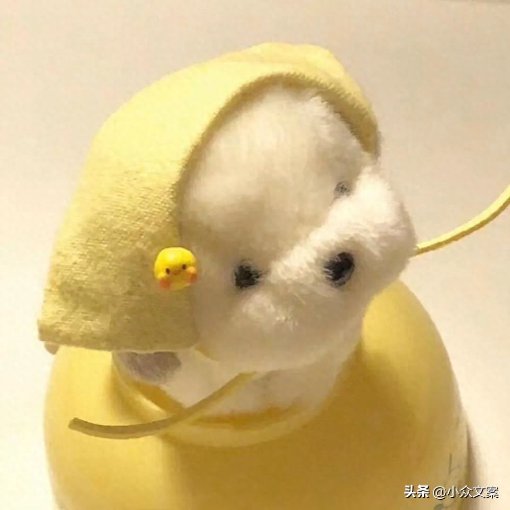 好听的3个字的网名女生